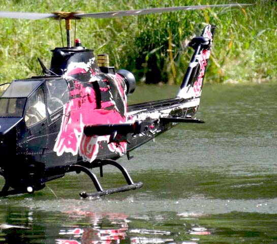 Cobra mit Wasserberhrung