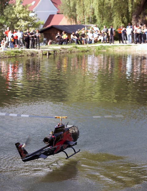 Flug beim Fischteich