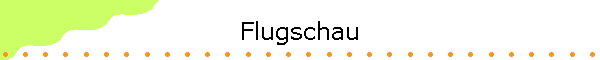 Flugschau